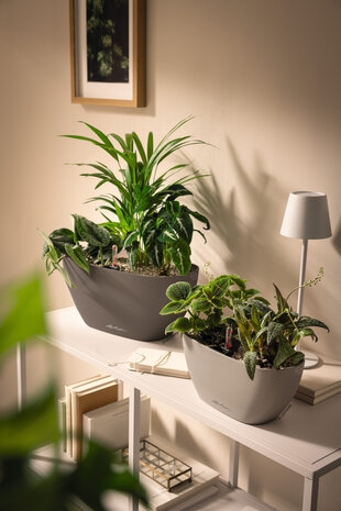 LECHUZA NAVIO Color muskaat LECHUZA NAVIO Color muskaat