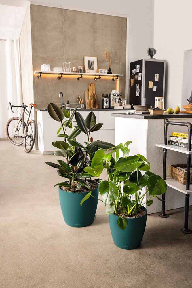 LECHUZA DECO pijnboomgroen