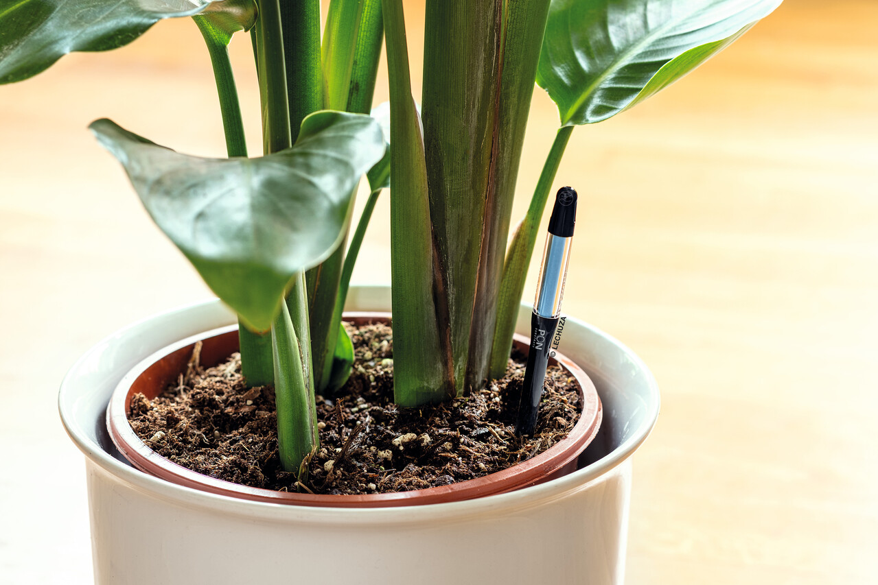 Giethulp vochtindicator stick Giethulp vochtindicator stick