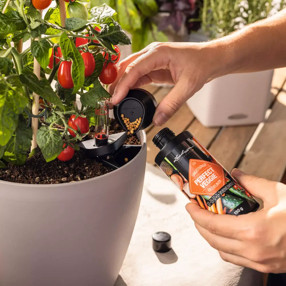 PON engrais végétalien à libération lente PERFECT VEGGIE