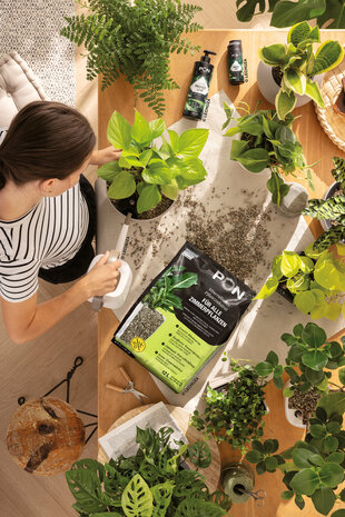 Substrat de plantation LECHUZA-PON