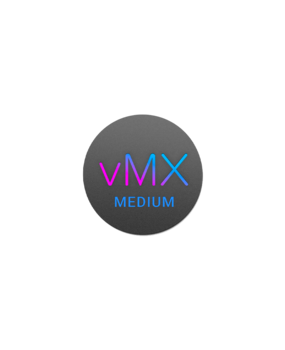 Cisco Meraki vMX Medium Enterprise Licencia 5 años Cisco Meraki vMX Medium Enterprise Licencia 5 años