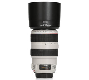 Canon Canon EF 70-300mm F4.0-5.6 L IS USM