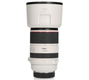Canon Canon RF 70-200mm F2.8 L IS USM
