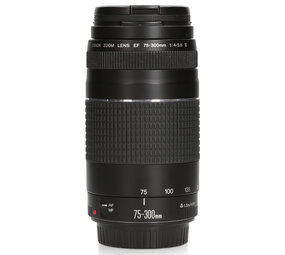 Canon Canon EF 75-300mm F4.0-5.6 III