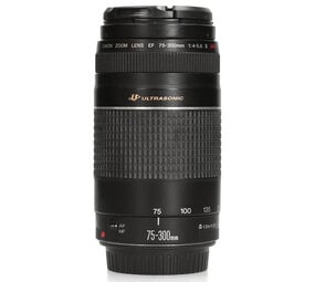 Canon Canon EF 75-300mm F4.0-5.6 III USM