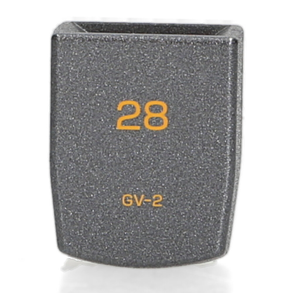 Ricoh GV-2 - external viewfinder