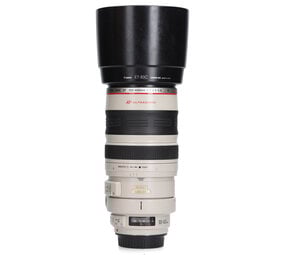 Canon Canon EF 100-400mm f/4.5-5.6 L IS USM