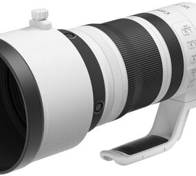 Canon Canon RF 100-300mm f/2.8 L IS USM