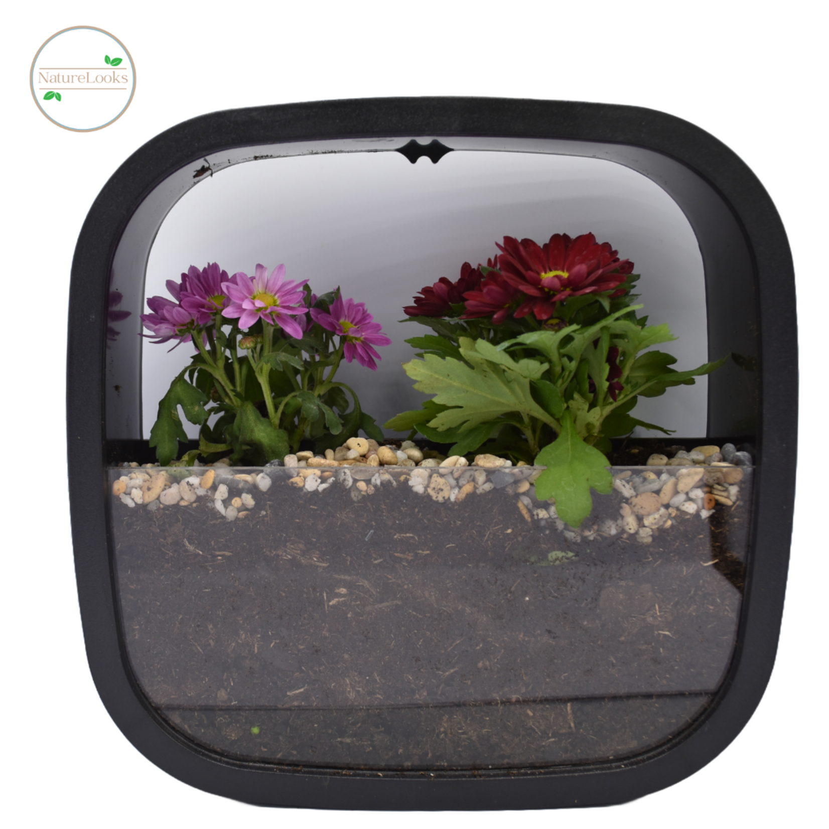 NatureLooks Vierkante bloempot 23 centimeter - zwart