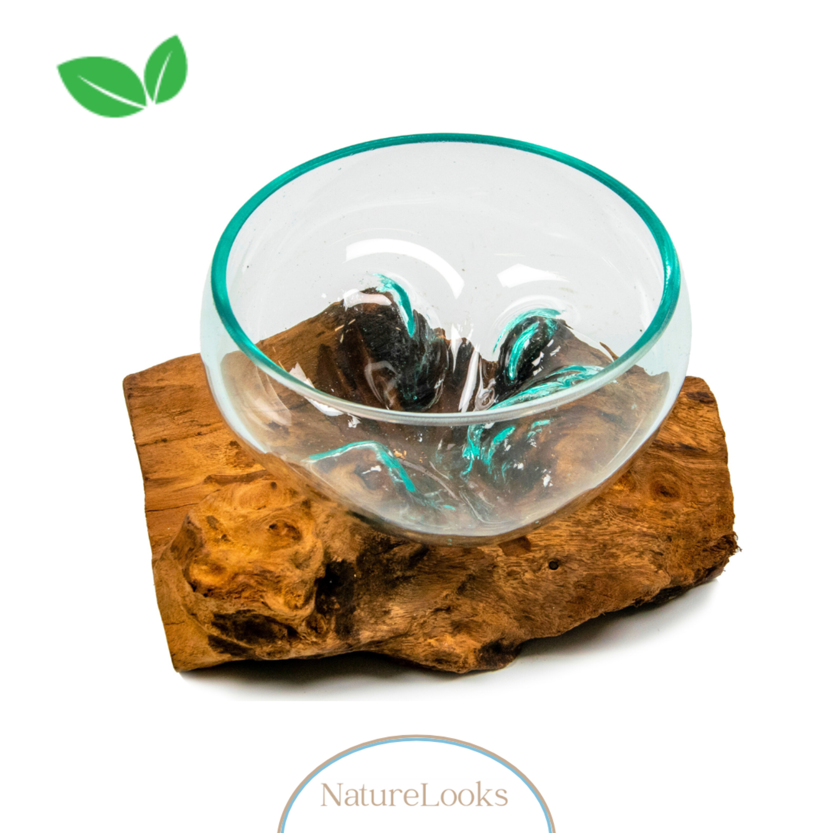 NatureLooks Glazen kom op hout - Decoratie voor in huis - Gemaakt van gamal wortel -15 cm