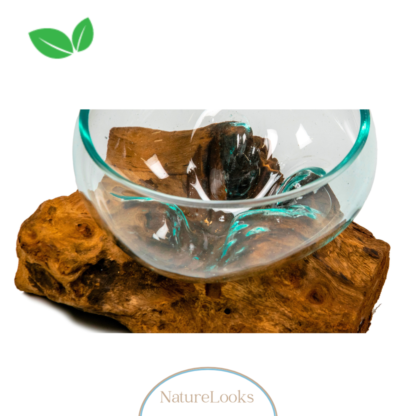 NatureLooks Glazen kom op hout - Decoratie voor in huis - Gemaakt van gamal wortel -15 cm