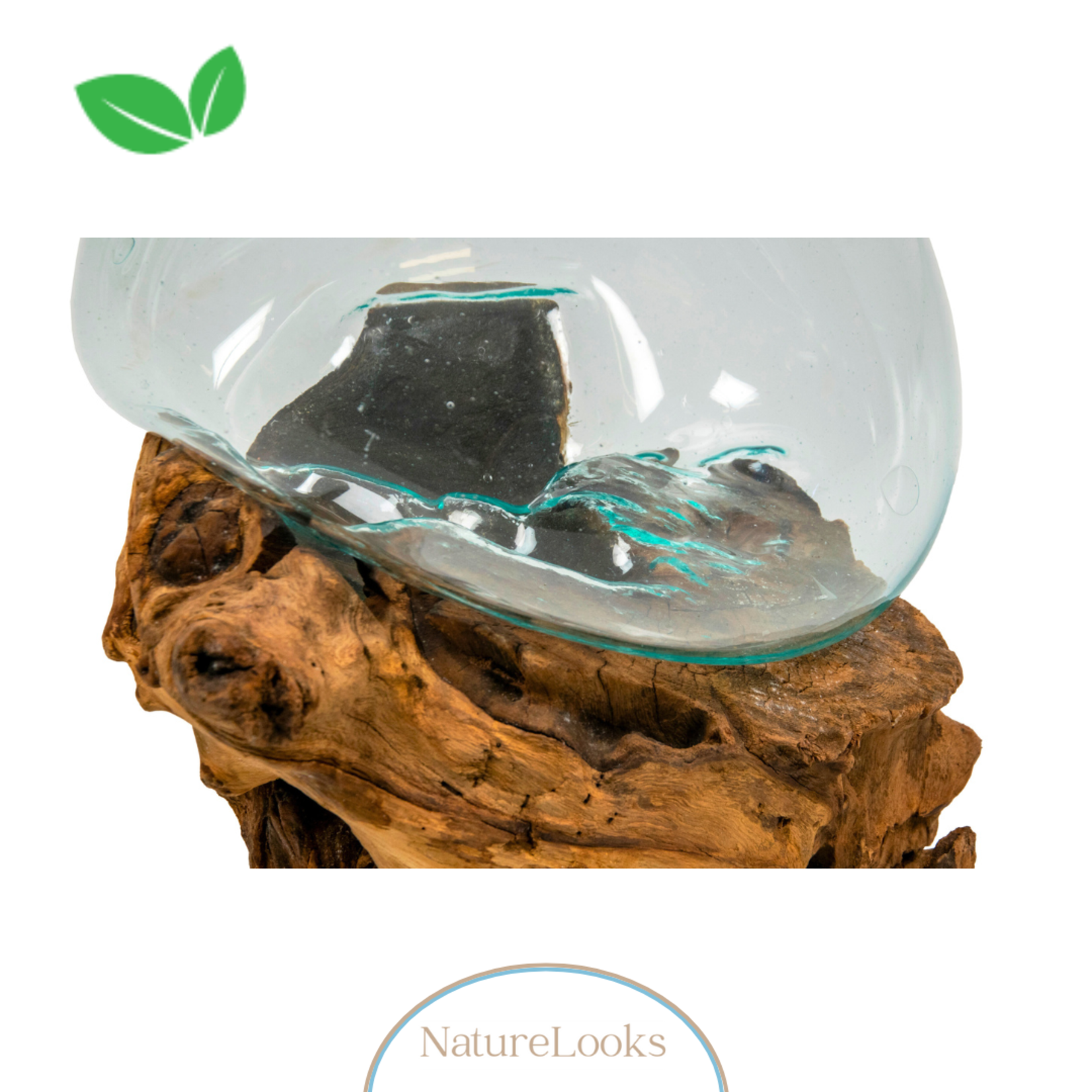 NatureLooks Glazen vaas op hout - Decoratie voor thuis - Gemaakt van gamal-wortel - 30 cm
