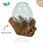 NatureLooks Glazen vaas op gamal wortel - 20 cm