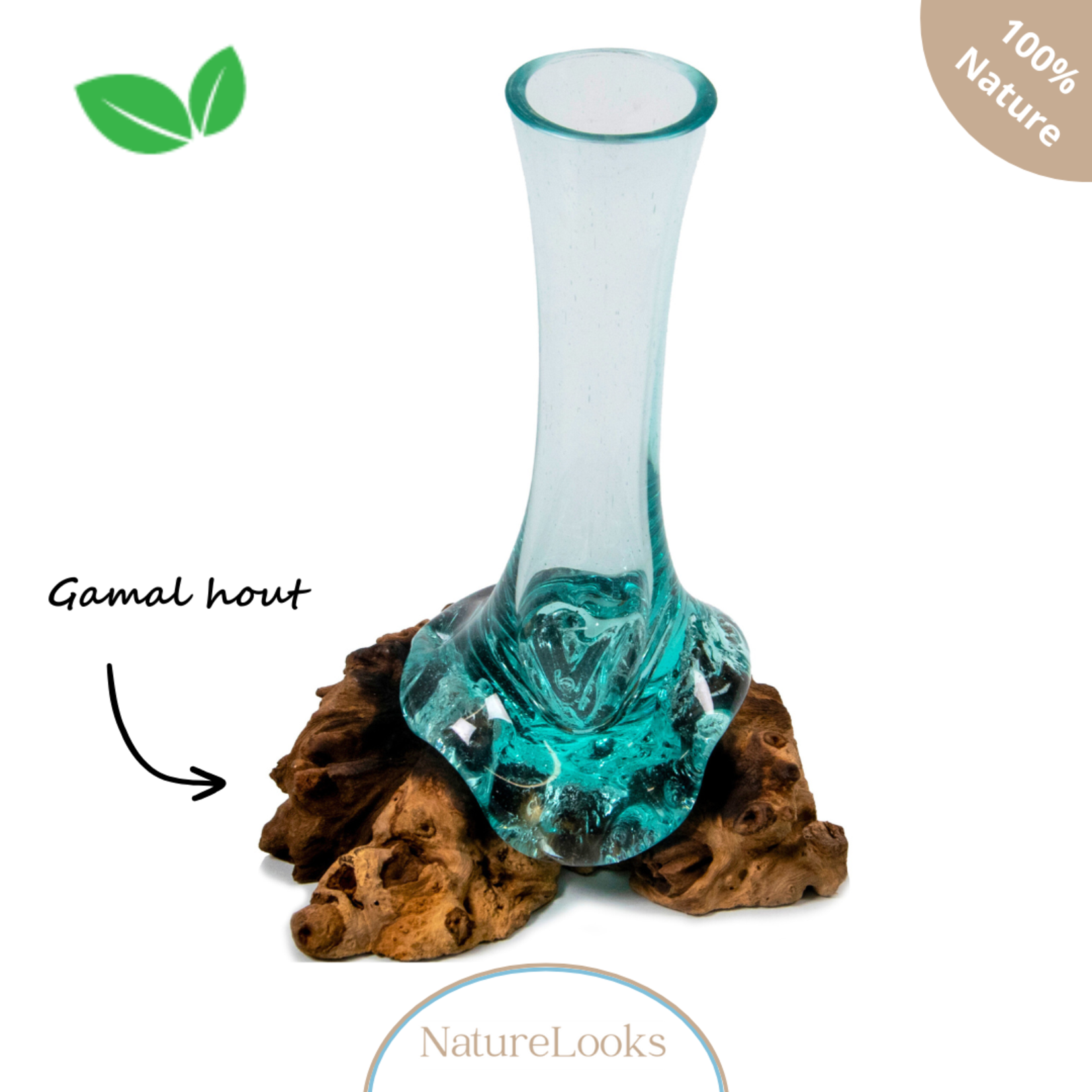 NatureLooks Glazen vaas op gamal wortel - Vaas voor bloemen in huis - 25 cm