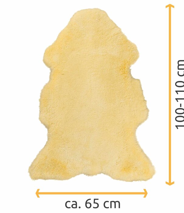 Van Buren sinds 1861 Medicinale Schapenvacht - Beige - Extra Groot - Grootte: Extra Groot (100-110 x 55-65 cm), Kleur: Créme/Beige