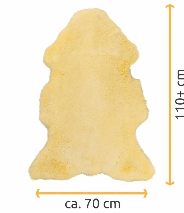 Van Buren sinds 1861 Medicinale Schapenvacht - Beige - XXL - Grootte: XXL (> 110 x 60-70 cm), Kleur: Créme/Beige