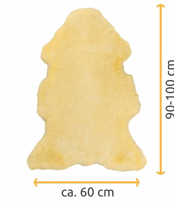 Van Buren sinds 1861 Medicinale Schapenvacht - Beige - Groot - Grootte: Groot (90-100 x 50-60 cm), Kleur: Créme/Beige