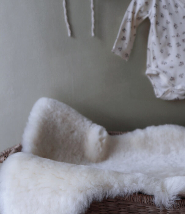 Van Buren sinds 1861 Medicinale Schapenvacht klein - Beige - Lamsvacht - Grootte: Lamsvacht (< 90 x 45-55 cm), Kleur: Créme/Beige