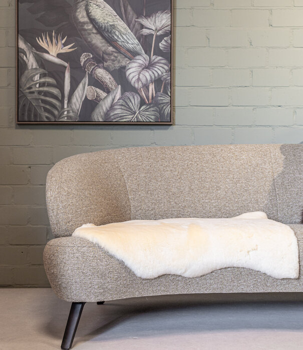 Van Buren sinds 1861 Medicinale Schapenvacht klein - Beige - Lamsvacht - Grootte: Lamsvacht (< 90 x 45-55 cm), Kleur: Créme/Beige