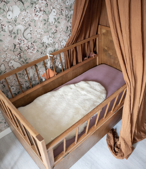 Van Buren sinds 1861 Medicinale Schapenvacht klein - Beige - Lamsvacht - Grootte: Lamsvacht (< 90 x 45-55 cm), Kleur: Créme/Beige