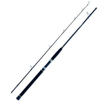 Sea Dart Special Fjord 2,10m 30-300g 2pcs