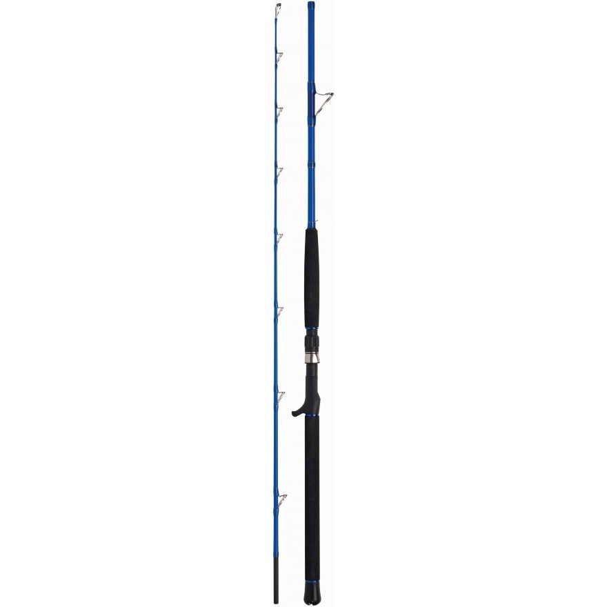 WFT Sea Dart 2,10m 30lbs 50-320g