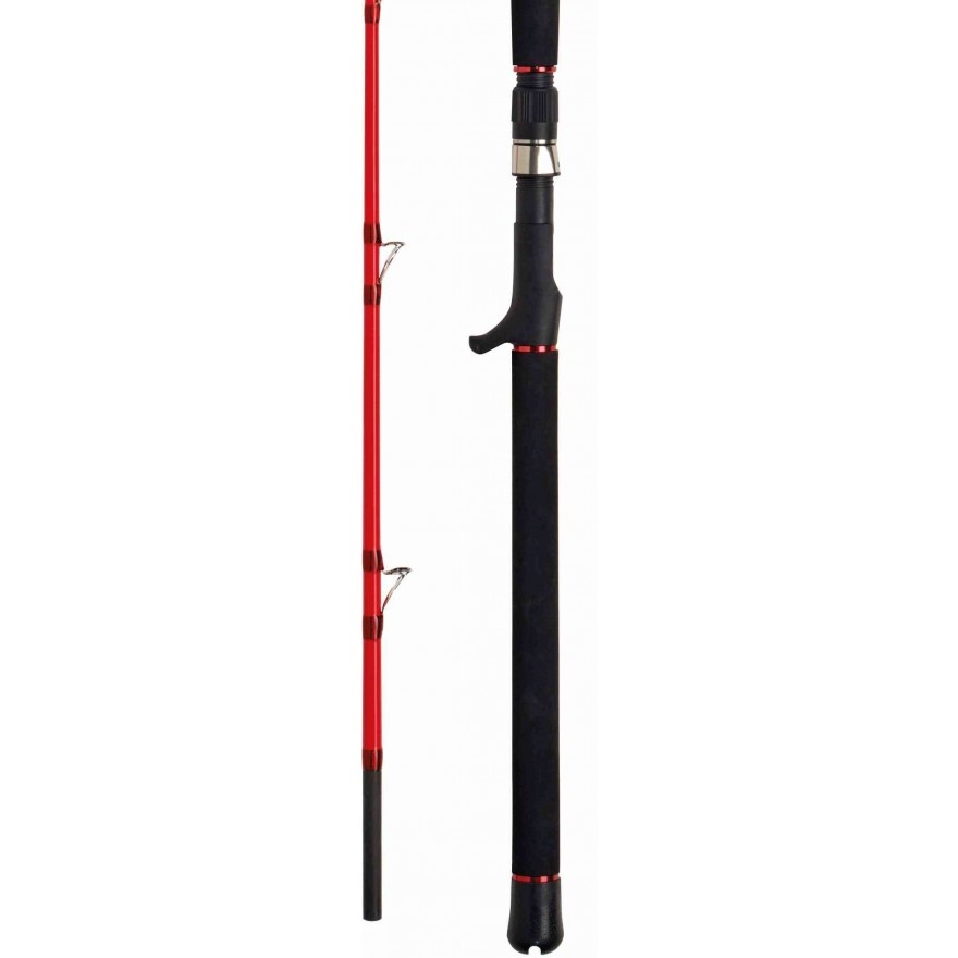 WFT Sea Dart 2,40m 30lbs 50-320g