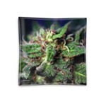 V-SYNDICATE V-SYNDICATE - Glass tray Small - Blue dream