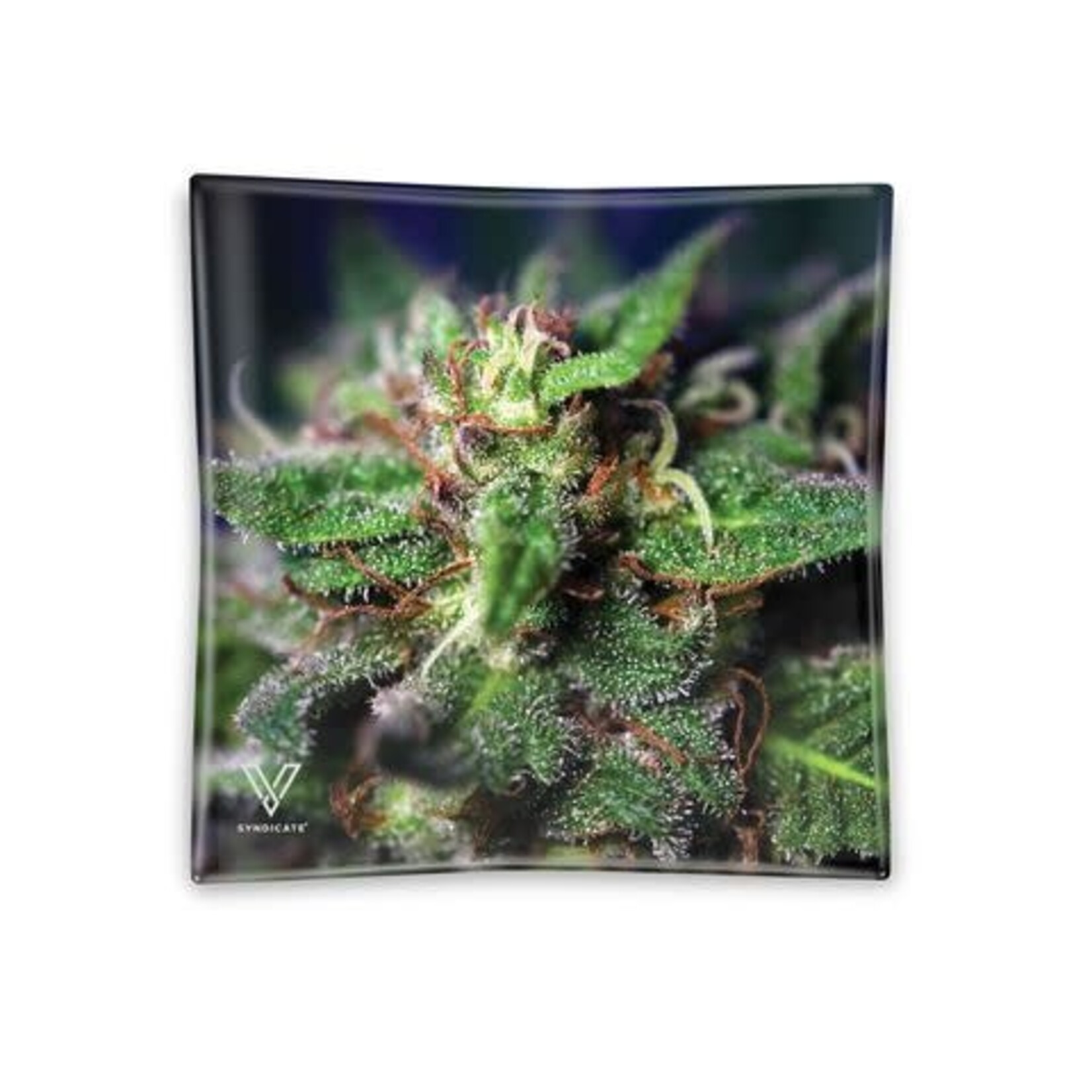 V-SYNDICATE V-SYNDICATE - Glass tray Small - Blue dream