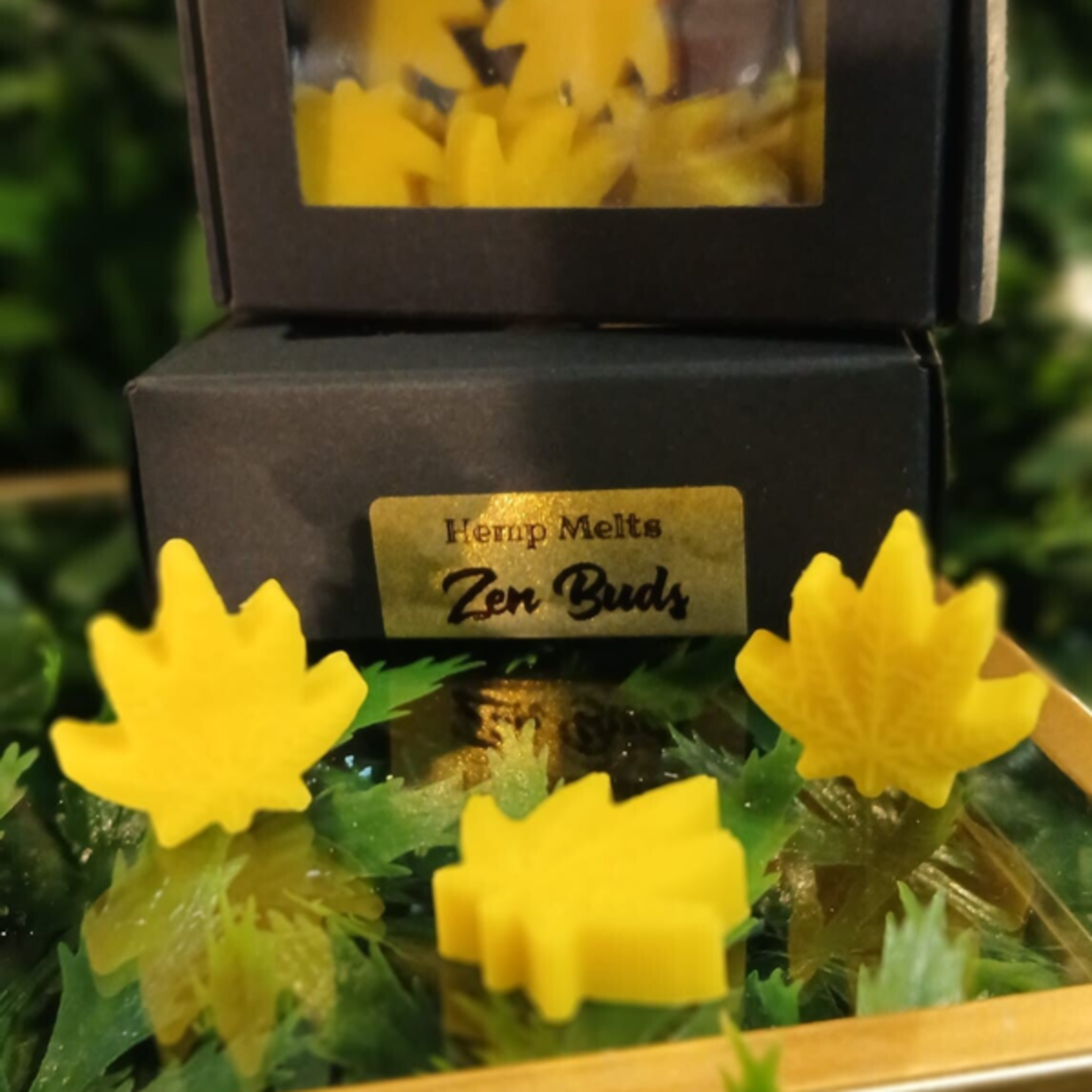 LALUNA La Luna - Fondant Parfumé Zen Buds | Orange & Bois de Cèdre