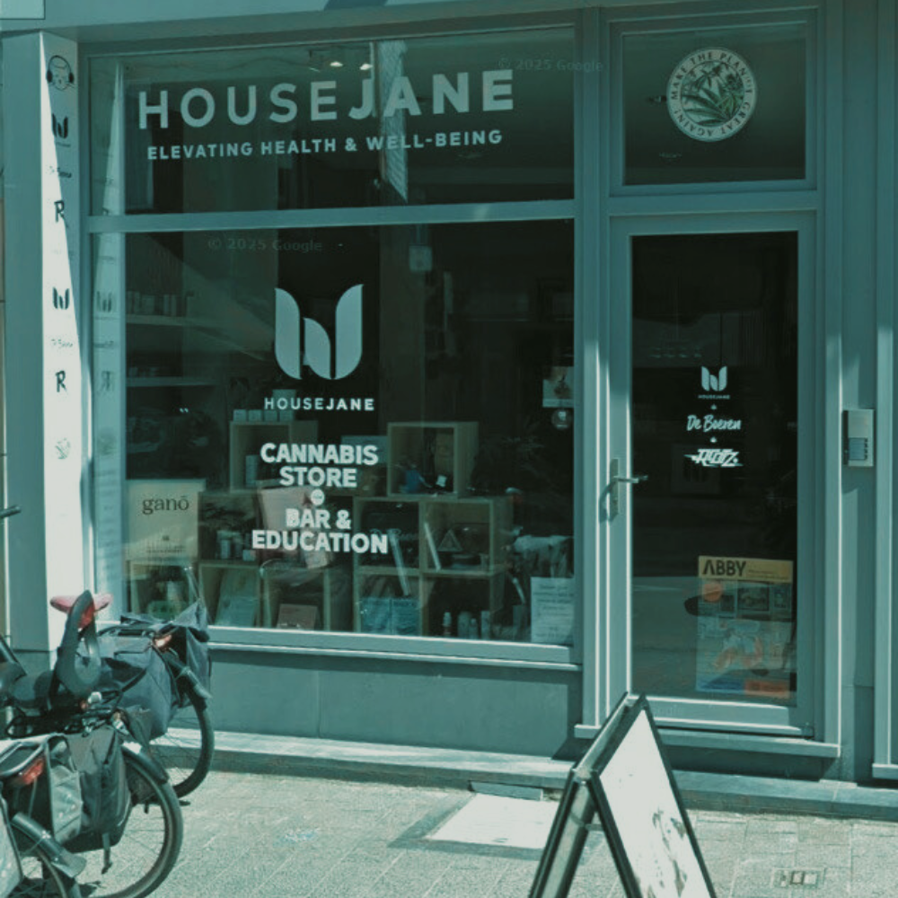 House Jane Kortrijk