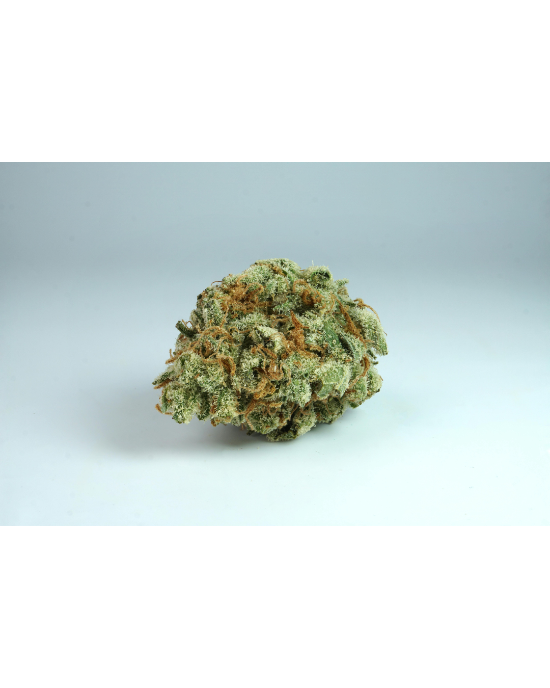 Macro van trichomen: hier worden terpenen en cannabinoïden gevormd.