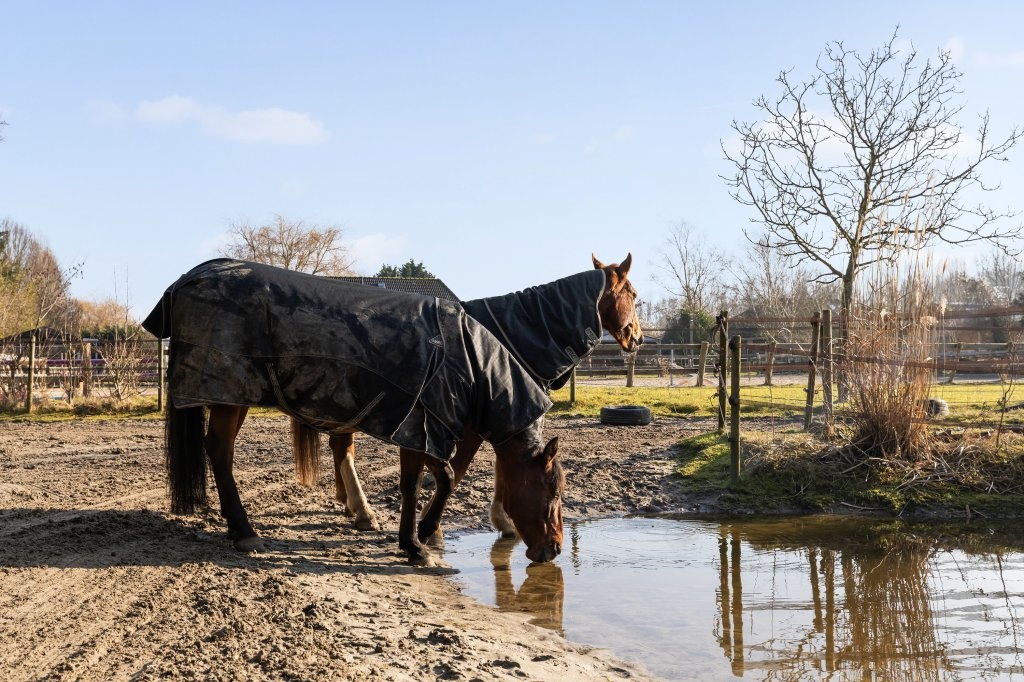 Groene Velden 174, Lelystad €1.065.000 k.k.