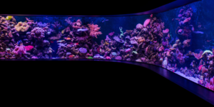 Aquarium LED strips