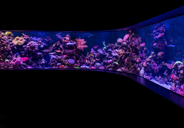 Aquarium LED strips