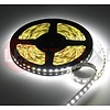 LEDStrip Helder Wit 2,5 Meter 120LED per meter 12 Volt - Basic