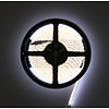 LEDStrip Helder Wit 5 Meter 120 LED per meter 12 Volt - Basic