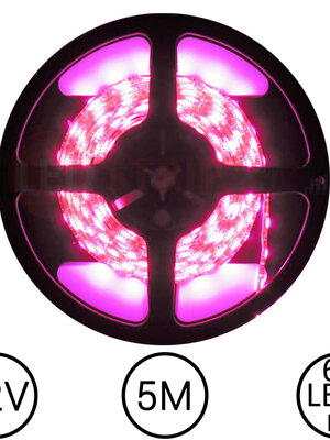 LEDStrip Roze 5 Meter 60 LED 12 Volt