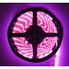 LEDStrip Roze 5 Meter 60 LED per meter 12 Volt