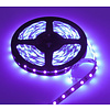 LEDStrip Paars 1 Meter 60 LED per meter 12 Volt