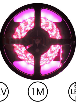 LEDStrip Roze 1 Meter 60 LED 12 Volt