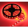 LEDStrip RGB 5 Meter 60 LED 12 Volt