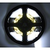 PowerLED Koud Wit 0,5 t/m 2,5 Meter 60LED per meter 12 Volt