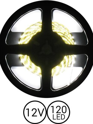 PowerLED Helder Wit 0,5 t/m 2,5 Meter 120LED 12V