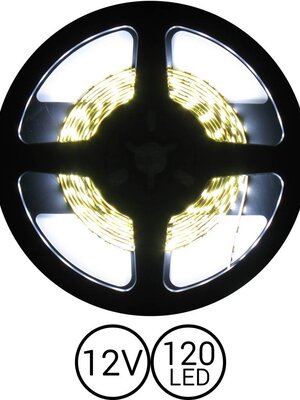 PowerLED Koud Wit 0,5 t/m 2,5 Meter 120LED 12 Volt