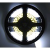 PowerLED Koud Wit 0,5 t/m 2,5 Meter 120LED per meter 12 Volt