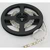 PowerLED Koud Wit 0,5 t/m 2,5 Meter 120LED per meter 12 Volt