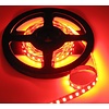 PowerLED Rood 0,5 t/m 2,5 Meter 120LED per meter 12 Volt