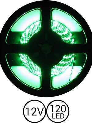 PowerLED Groen 0,5 t/m 2,5 Meter 120LED 12 Volt